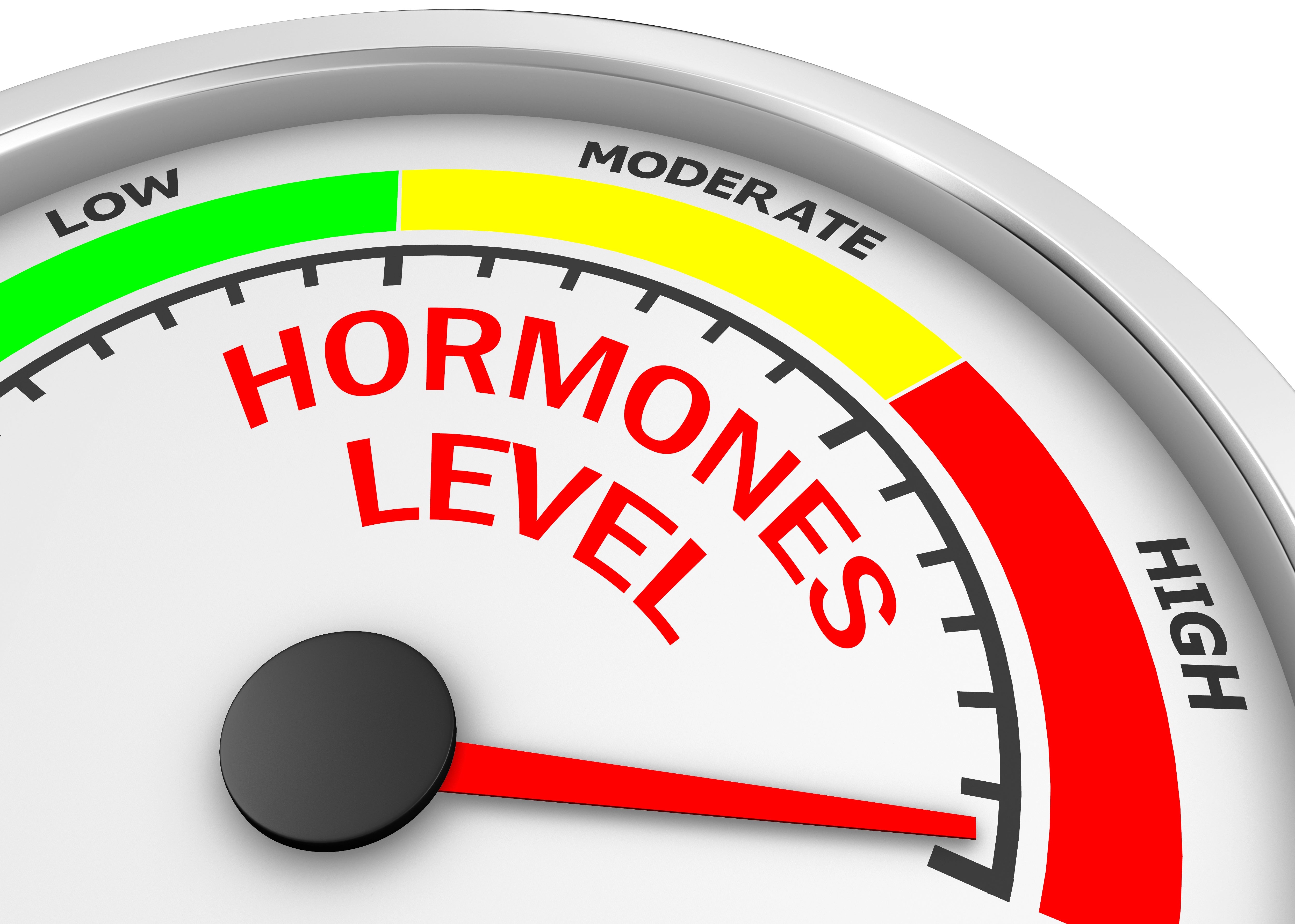 PLUS Profile 24-Hour Urine Hormone Testing #4080